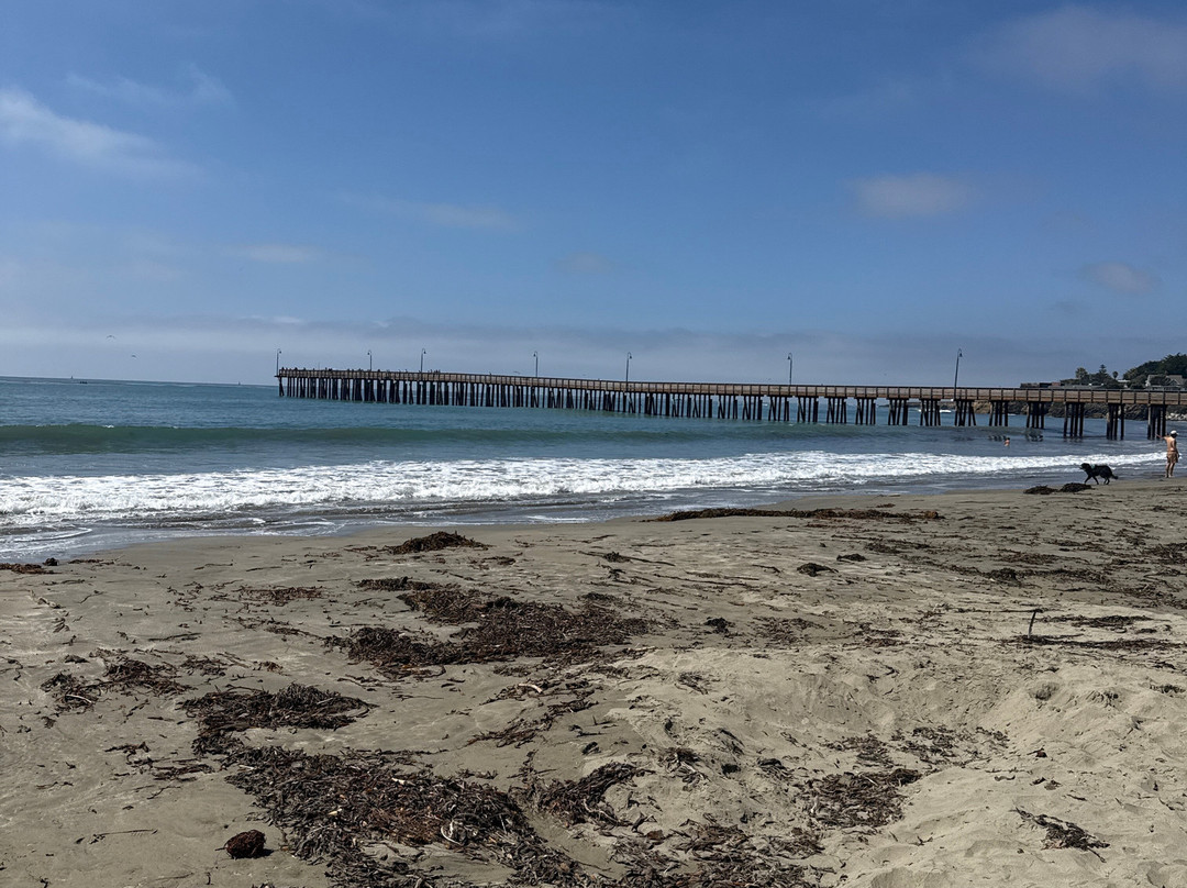 Cayucos State Beach-卡尤科斯必去景点