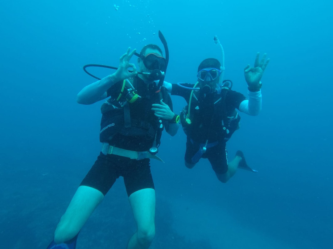 Dive Time-贝尔马尔必去景点