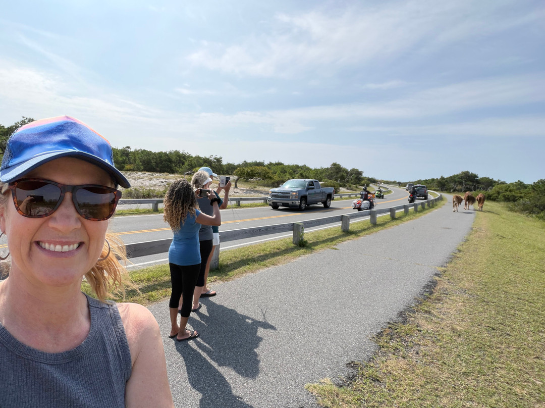Assateague Island National Seashore-Assateague Island必去景点