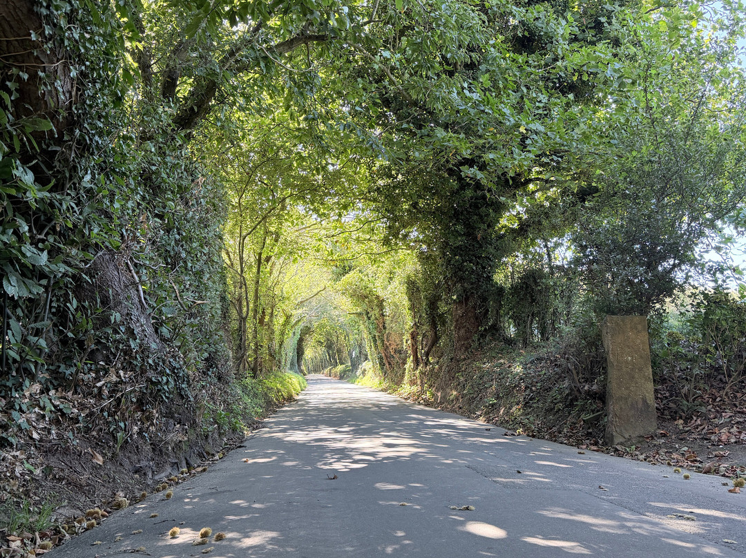 Evolution Cycles Jersey - Bike Hire-St Helier必去景点