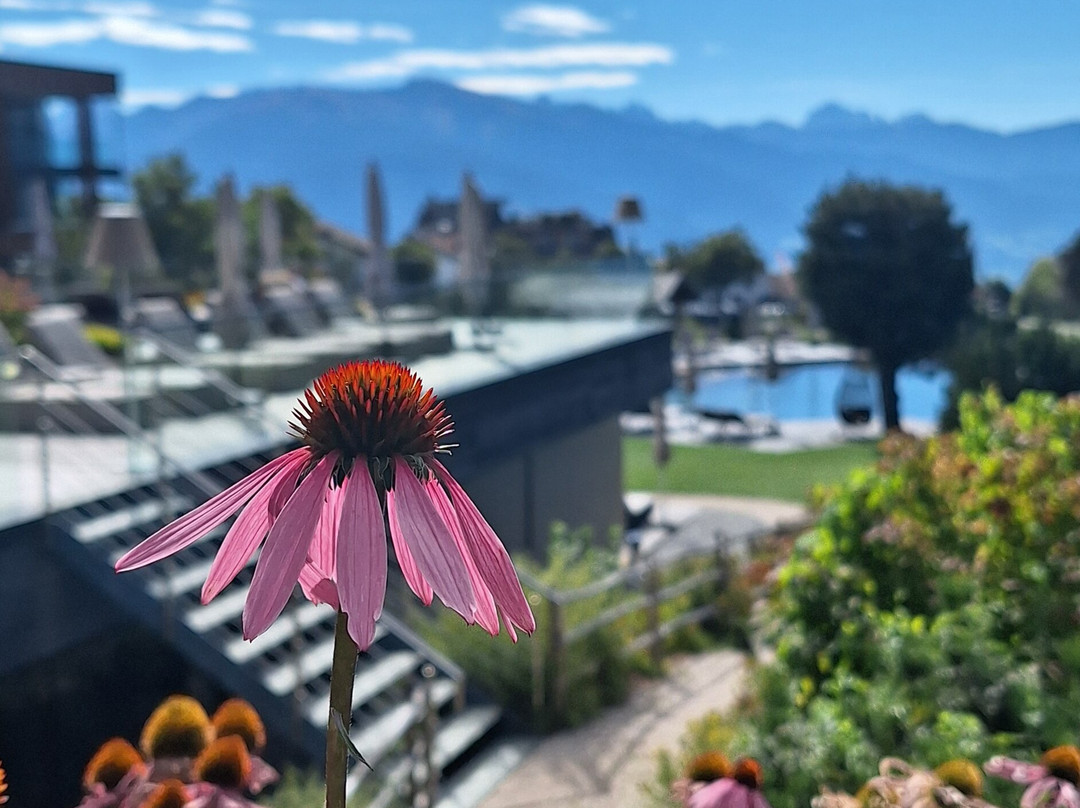Sonnenberg Panorama Dolomites Wellbeing主图