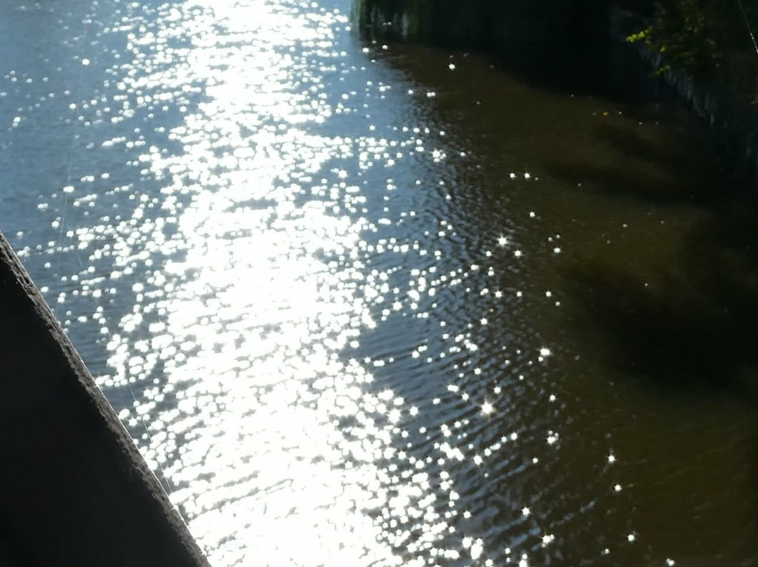 Sabrina Boat Trips-什鲁斯伯里必去景点