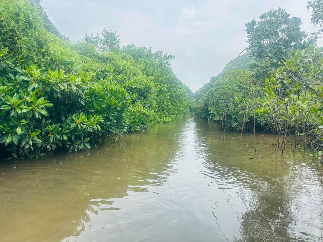Hang Vem Lake-Cat Ba Town必去景点