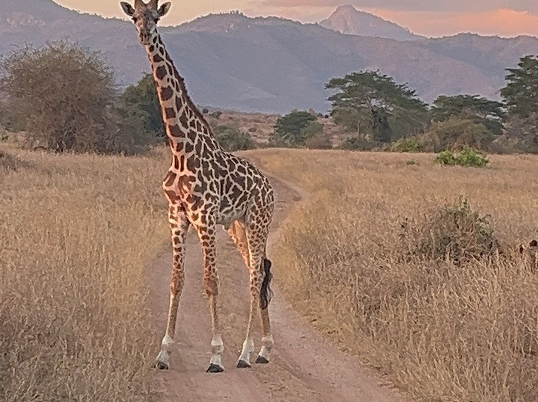 Brighte Maasai Adventures-Mara North Conservancy必去景点