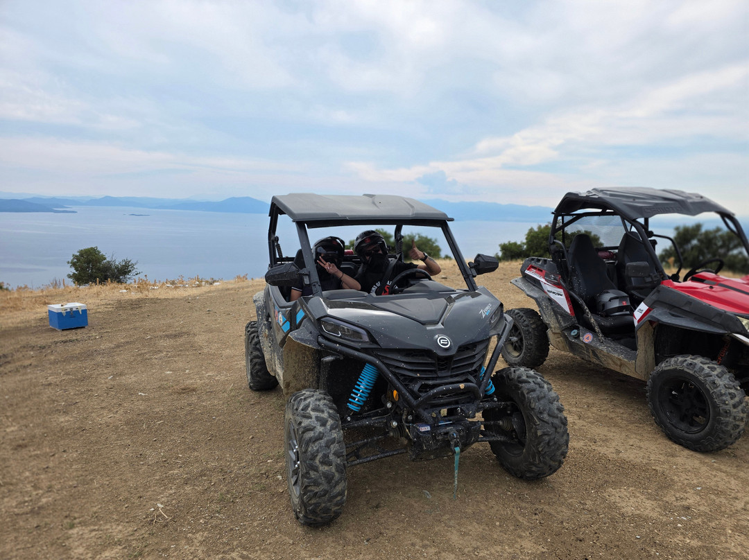 Pelion Buggy Experience