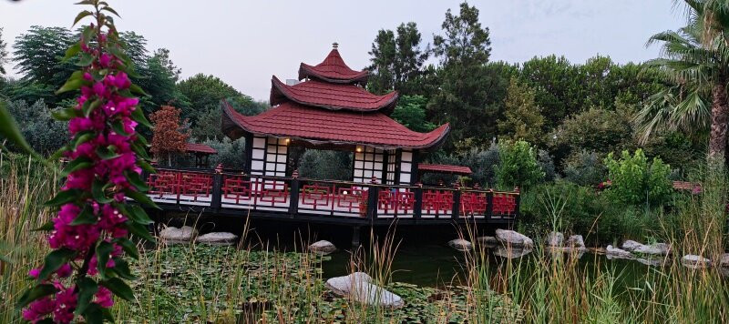 弗洛拉花园海滩俱乐部-全包主图
