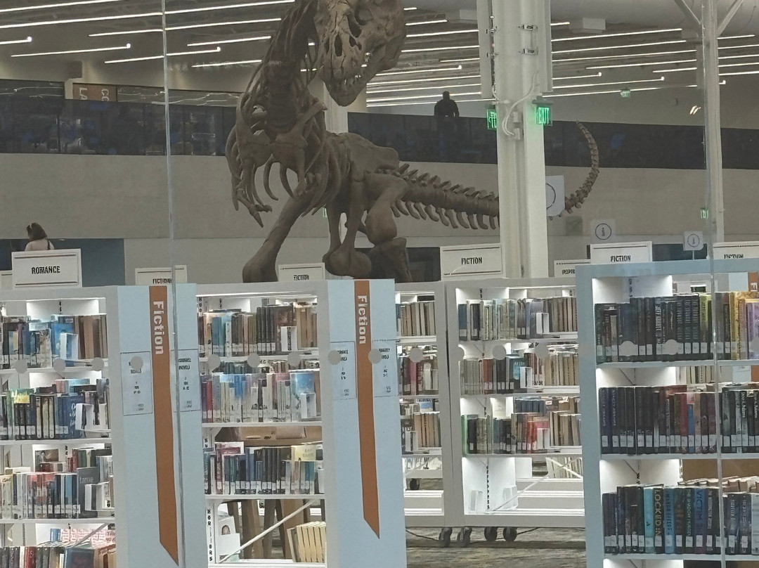 Frisco Public Library-弗里斯科必去景点