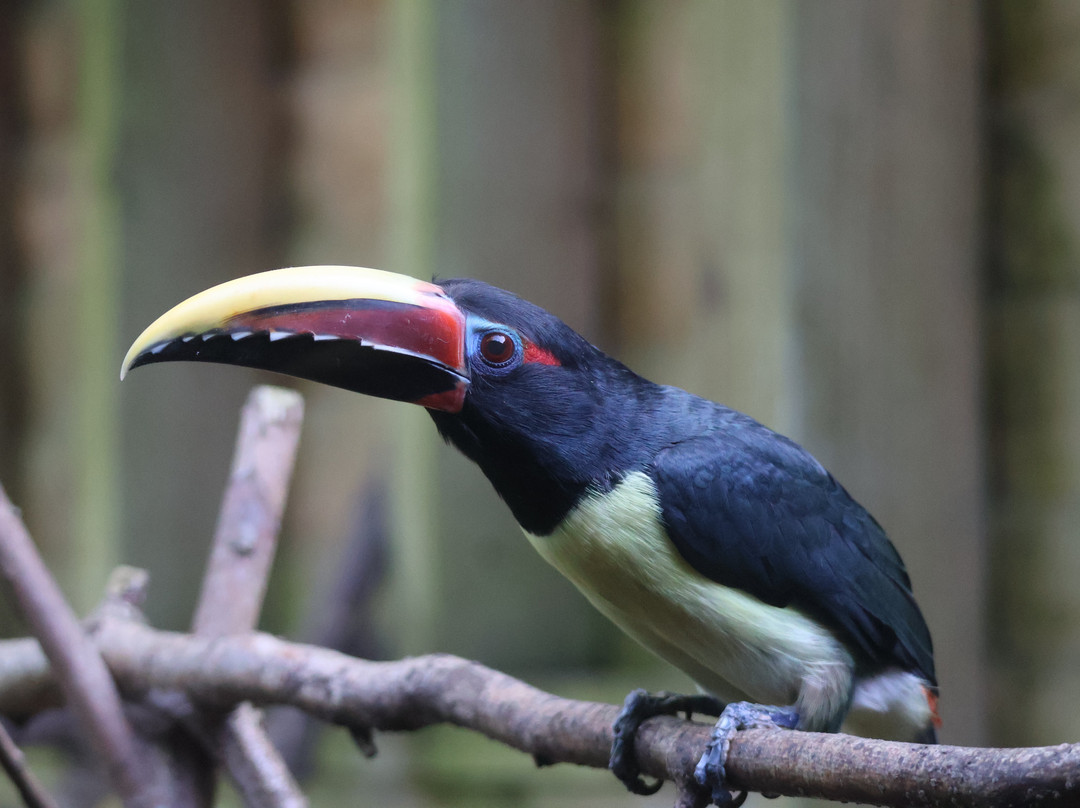 Lakeland Wildlife Oasis-Milnthorpe必去景点