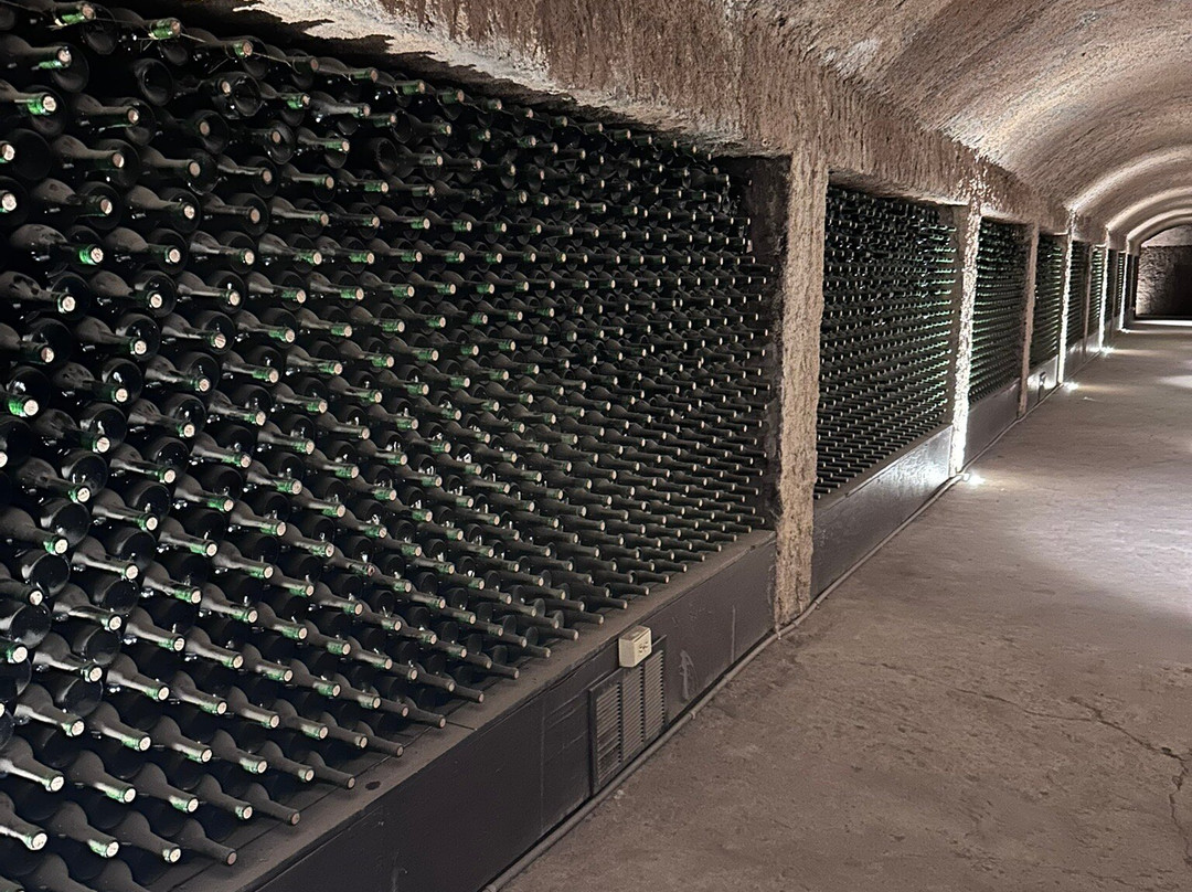 Bodegas Domecq-恩塞纳达必去景点