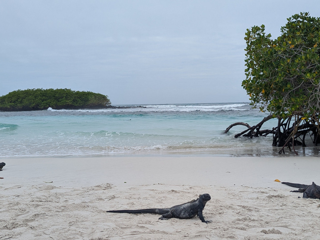 Go Galápagos Tours-Baltra必去景点