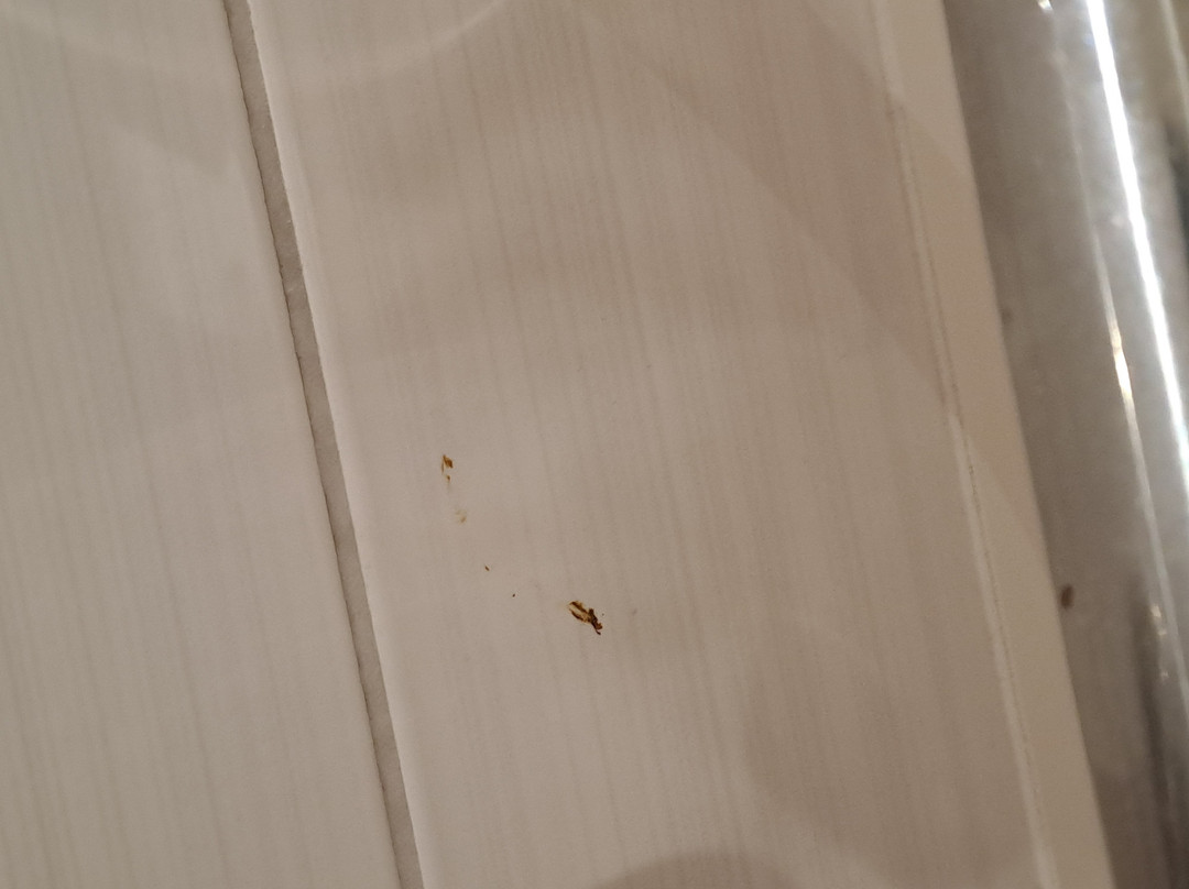 格洛斯特码头普瑞米尔酒店主图