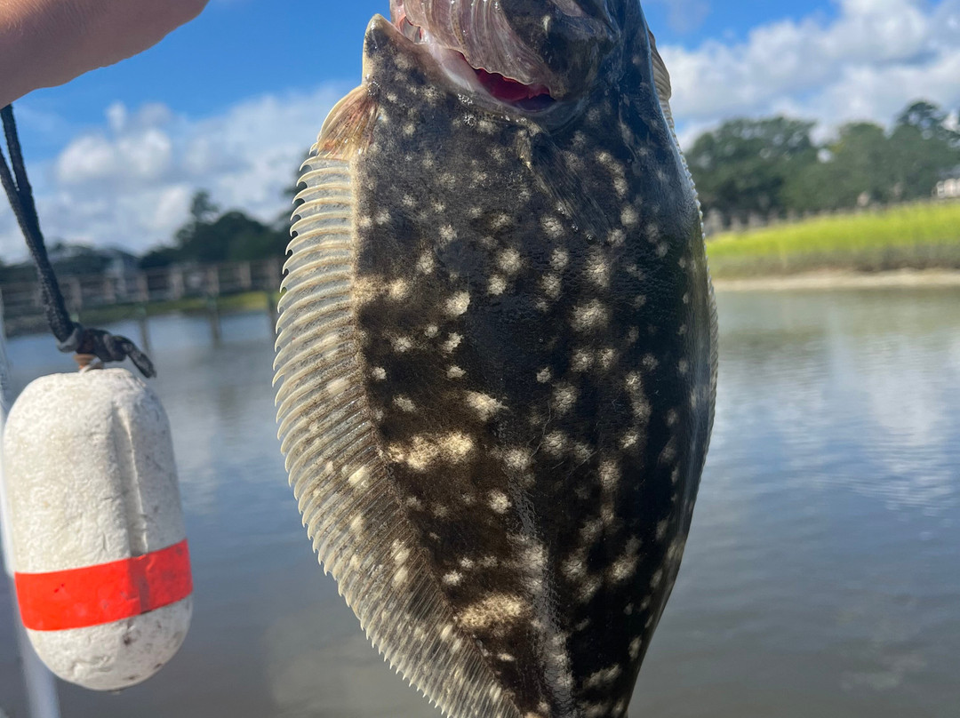 Charleston Charter Fishing-查尔斯顿必去景点
