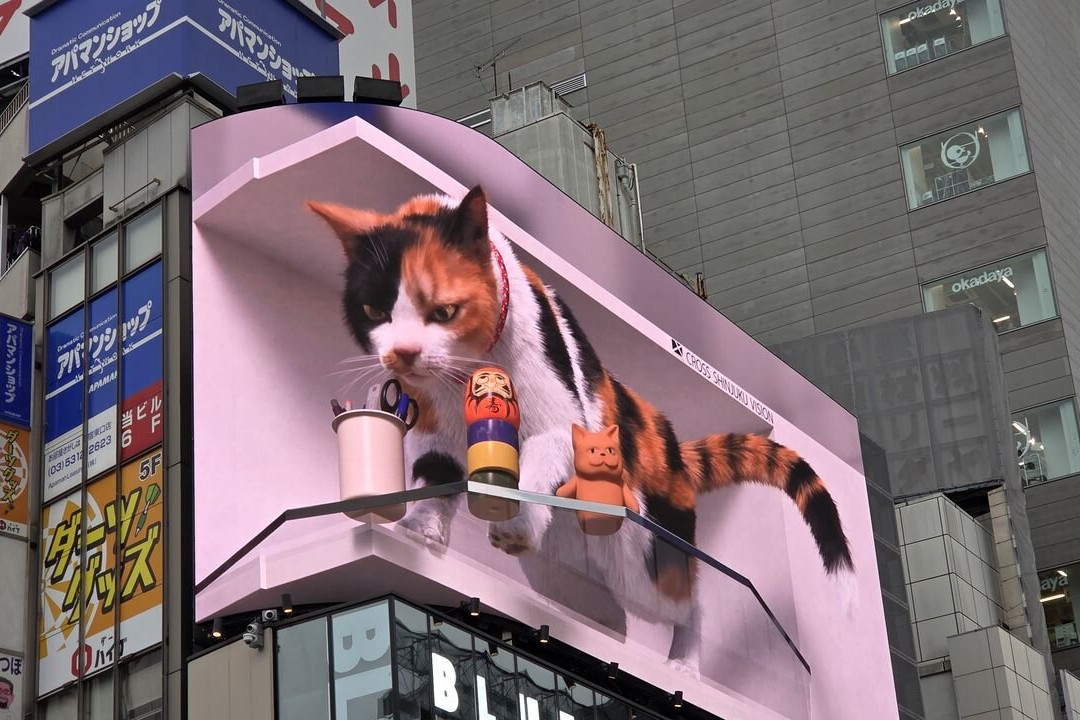 Giant 3d Cat Display Billboard-Shinjuku 3 Chome必去景点