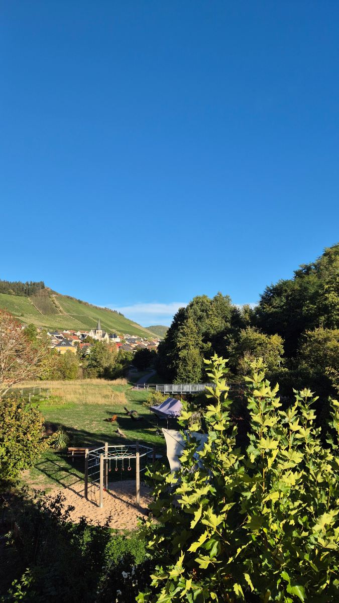 科罗斯塔穆勒红酒酒店-旅行者