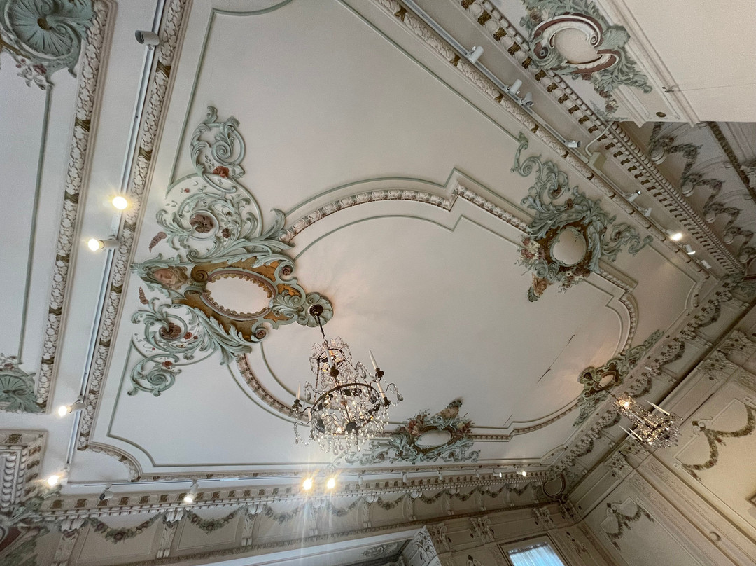 American Swedish Institute-明尼阿波利斯必去景点