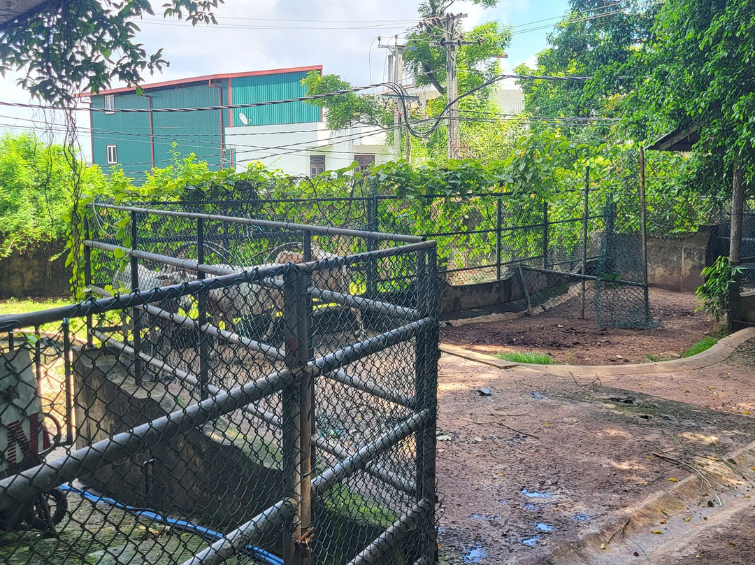 Dehiwala Zoo - Sri Lanka-拉非尼亚山必去景点