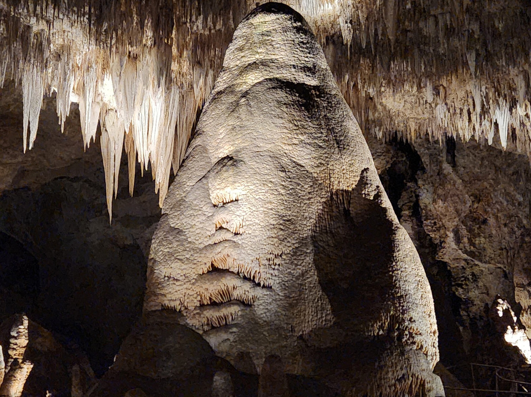 Carlsbad Caverns National Park Visitor Center-卡尔斯巴德洞穴国家公园必去景点