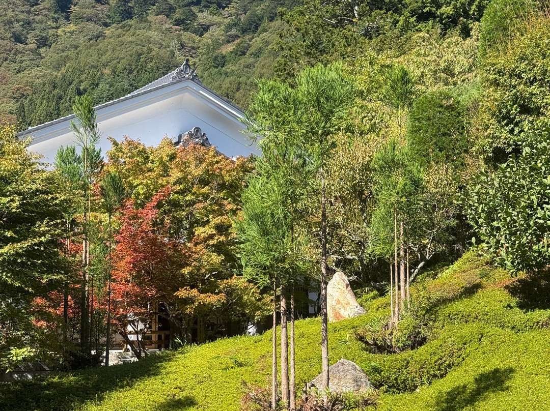 Kozenji Temple-驹根市必去景点