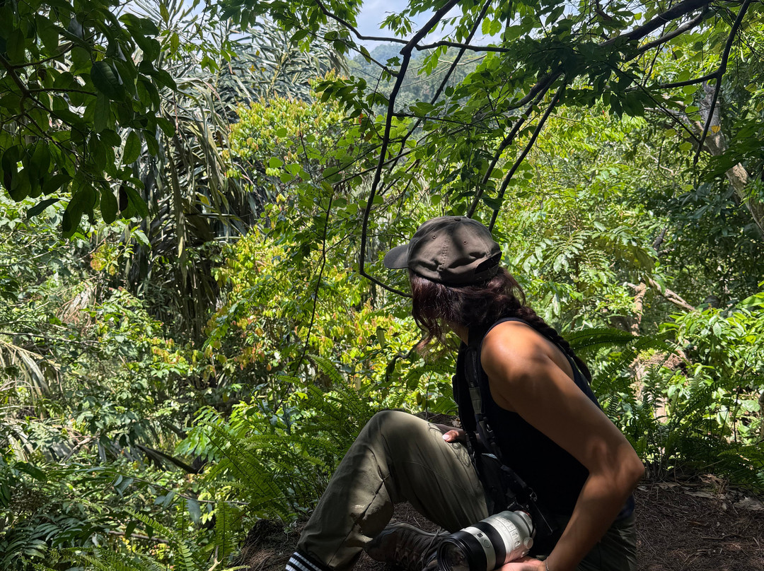 Sumatra Tour Adventures-武吉拉旺必去景点