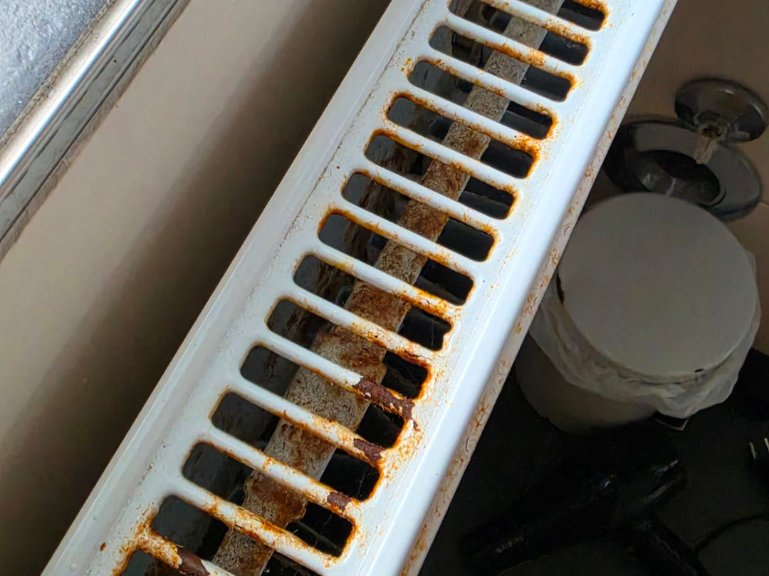 哥廷根盖斯特莉兹尔酒店主图