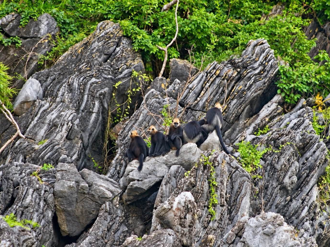 Cat Ba Island-卡巴必去景点