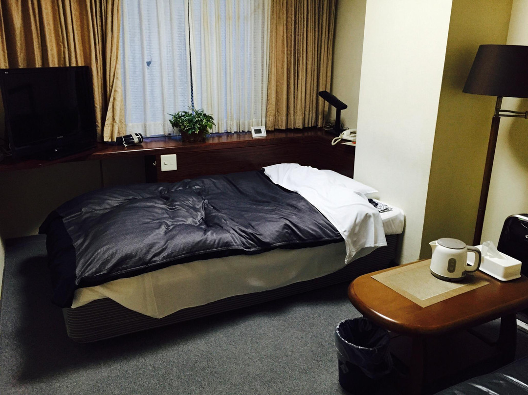 Toyama Urban Hotel