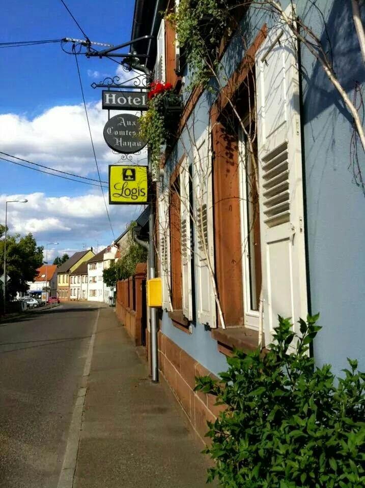 Hotel Restaurant  Aux Comtes de Hanau-客卧
