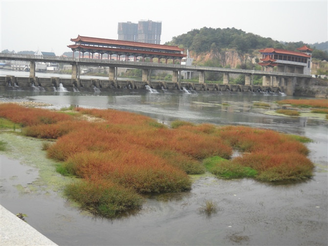 芦溪县旅游攻略图片