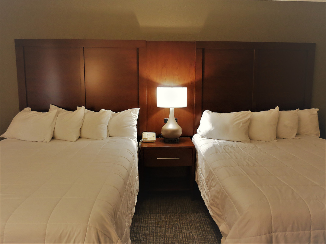 Comfort Inn & Suites主图