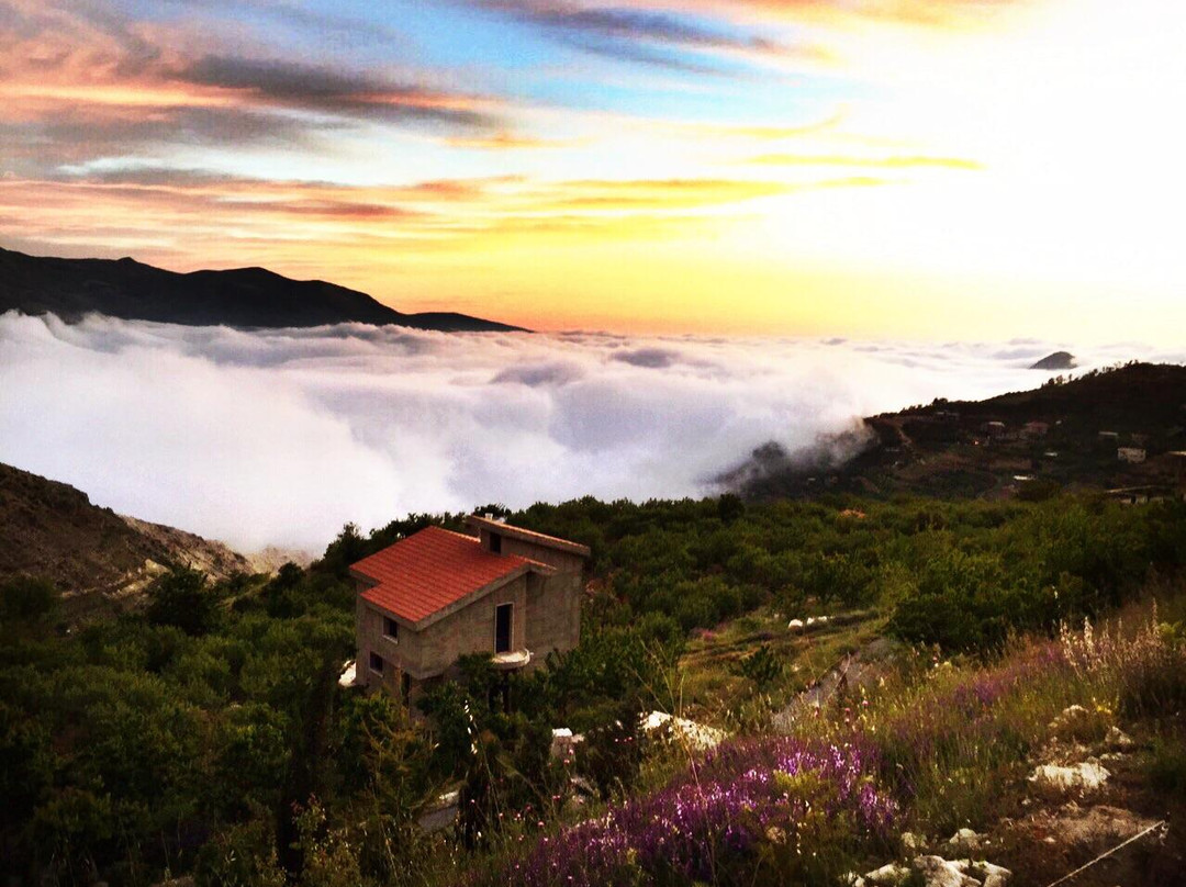 Dayr 'Atiyah旅游攻略图片