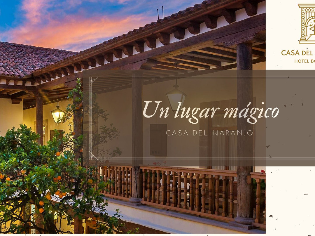 Patzcuaro酒店住宿-Hotel Casa del Naranjo