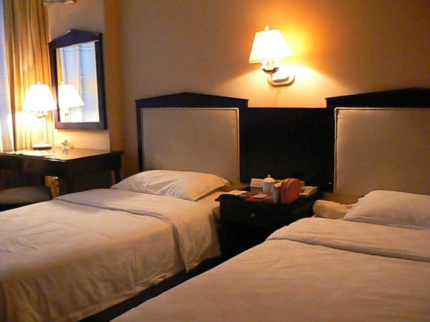 皇嘉大酒店-客卧