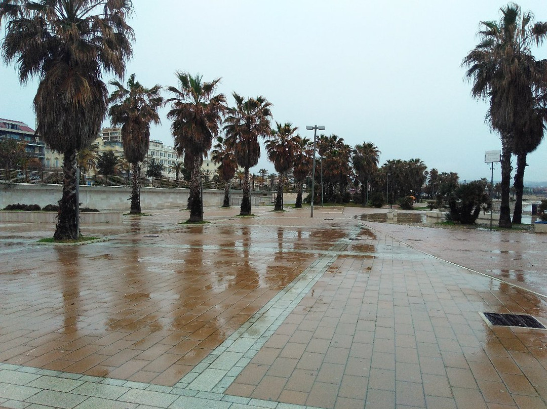 Marina di Civitavecchia景点图片