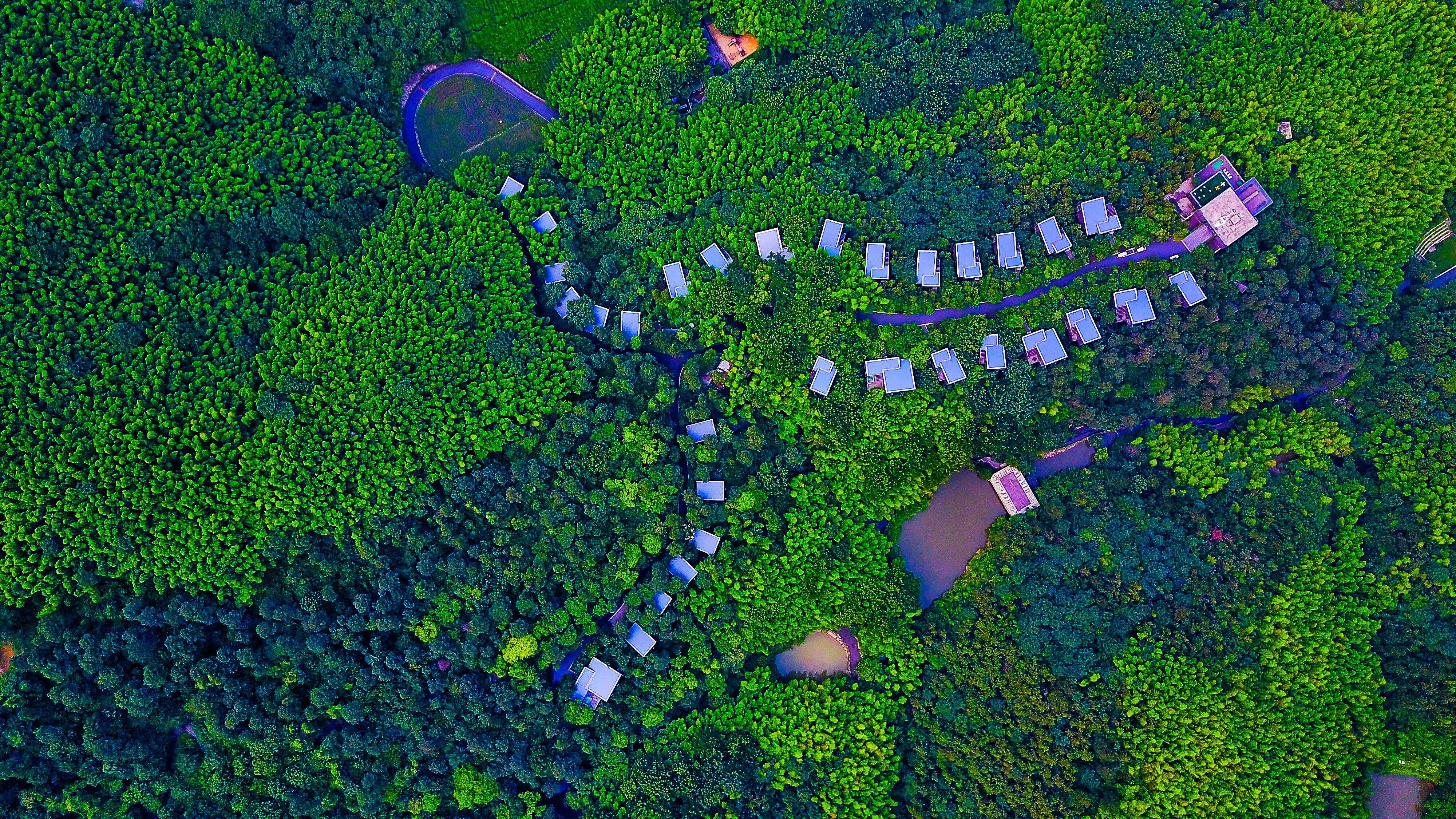 美岕山野温泉度假村-官方
