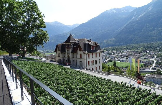 Schloss Leuk景点图片