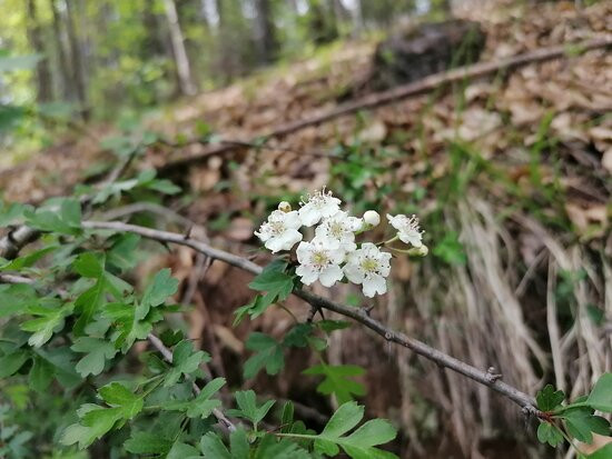 Lago Di Meugliano-Meugliano必去景点