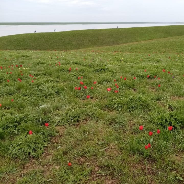 State Biosphere Reserve Rostovskiy景点图片