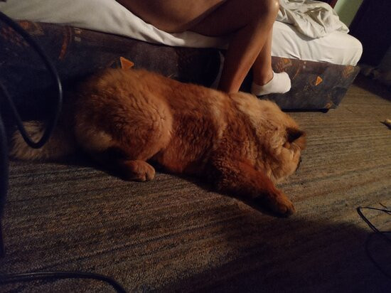 Country House Majkin Salas主图