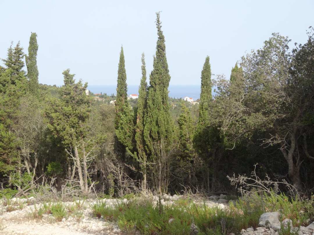 The Cypress Trail景点图片