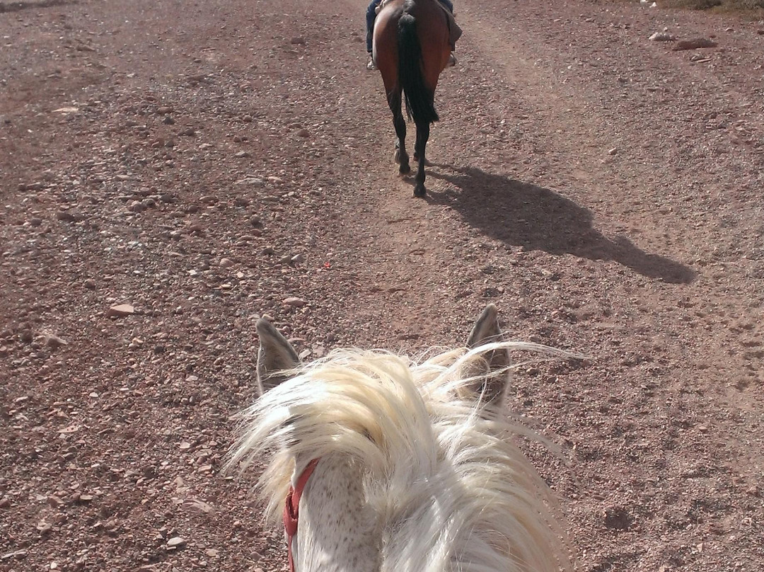 Chichenito Tours and Travels-Tupiza必去景点