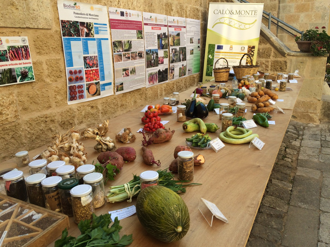 Galugnano旅游景点-Palazzo Palmieri