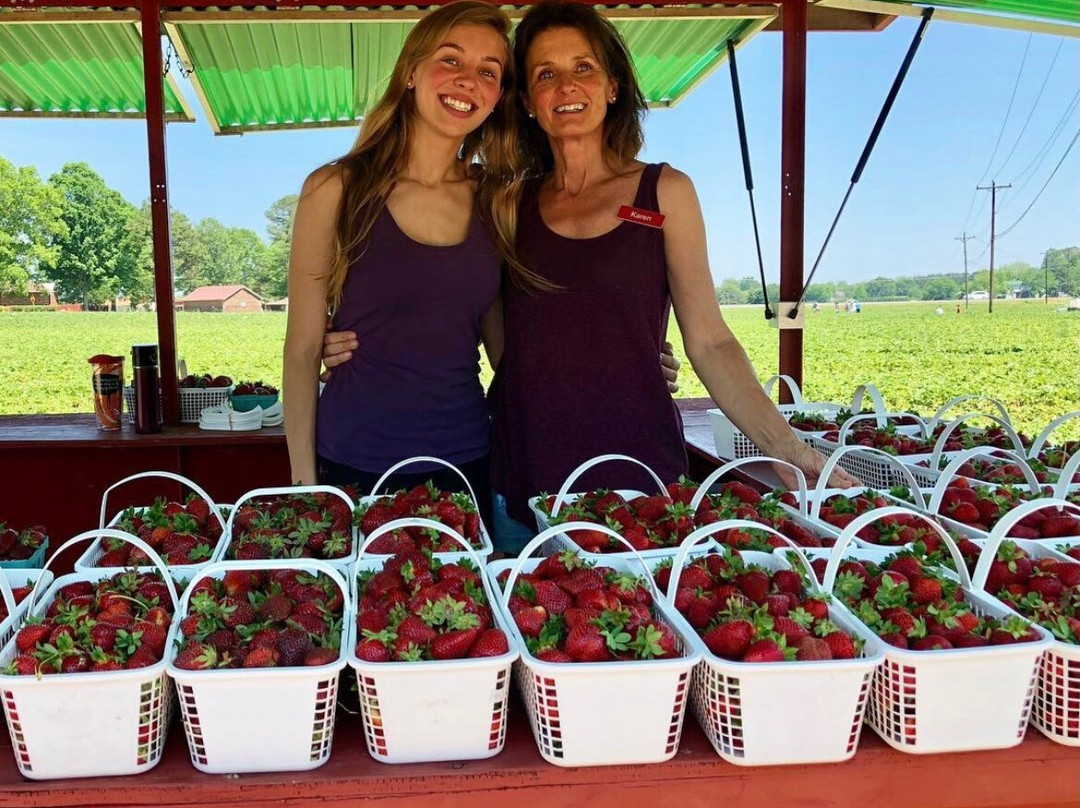 Carrigan Farms Strawberry Patch景点图片