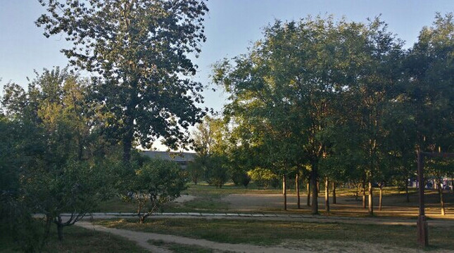 西沽公园-天津市必去景点