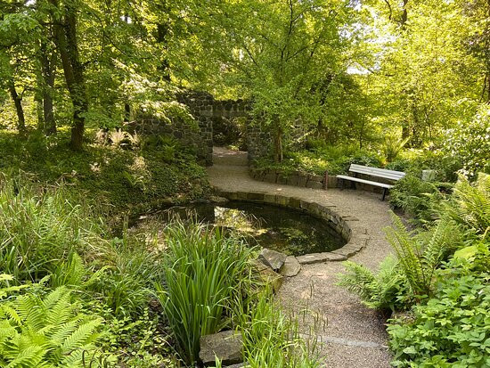 Botanischer Garten Kassel-卡塞尔行政区必去景点