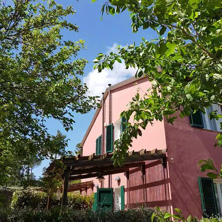 Le Pellicce