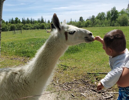 Domaine Des Trois Vents-Val d'Or必去景点