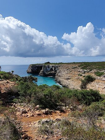 Experience Mallorca S.L-马洛卡帕尔马必去景点