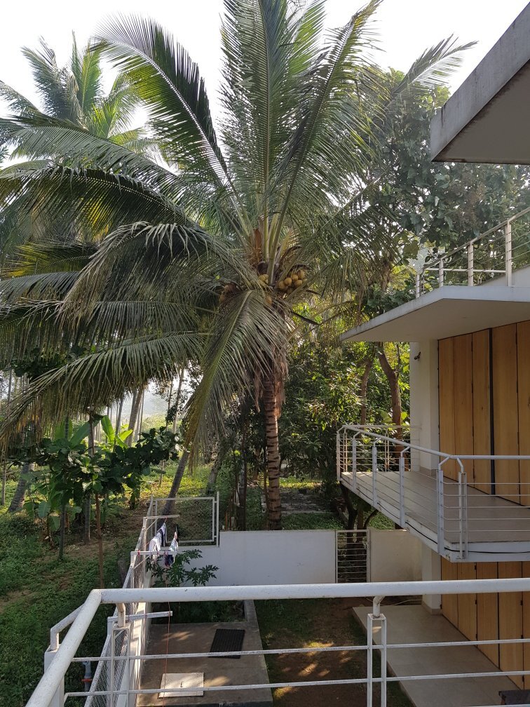 Darshna – Davey’s Townhouse-官方