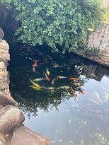 Wan Loong Chinese Temple-波德申必去景点