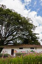 Cafe de Altura-Quimbaya必去景点